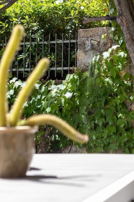 Il Giardino Tra Cielo E Mare Porto Venere Exterior foto